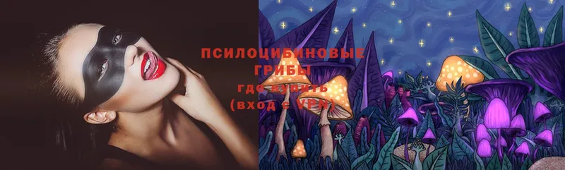 Галлюциногенные грибы Psilocybe  купить наркотики сайты  это как зайти  Боровск 